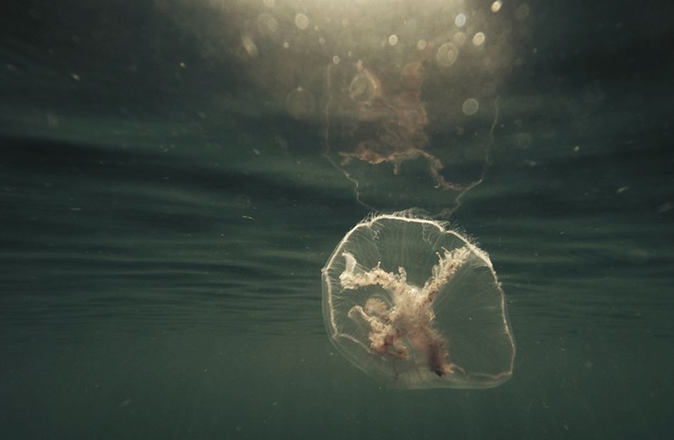 Even a Dead Star Can Be a Lighthouse