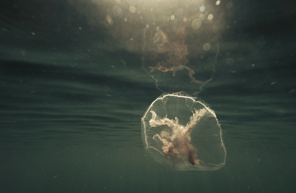 Even a Dead Star Can Be a Lighthouse 